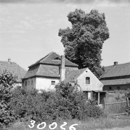 pałac - zabudowa gospodarcza, skan 1