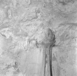 katedra św. Stanisława i św. Wacława - krypta, służka, wspornik, skan 1