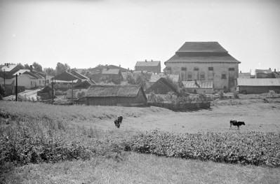 panorama miasta - widok z synagogą, skan 1