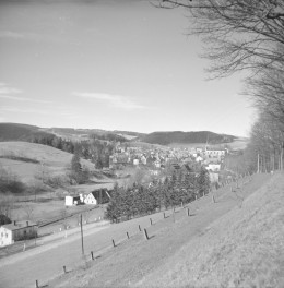 panorama miasta z kościołem pw. Świętych Apostołów Piotra i Pawła - widok od wschodu, skan 1