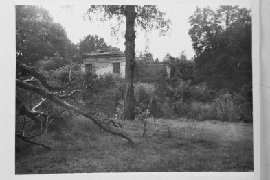 pałac Wężyków - ruina - widok od północy - fragment, skan 1