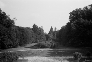 park - fragment alei, skan 1