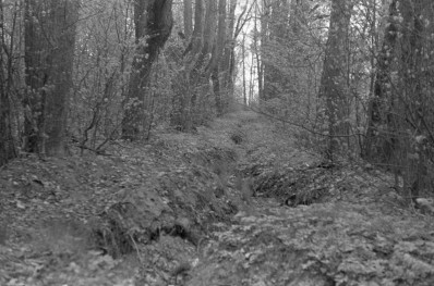 park - aleja, skan 1