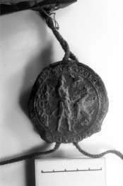 Archiwum Państwowe w Poznaniu - pieczęć Bolesława Pobożnego. Pieczęć piesza na jedwabnej, różowej, wąskiej taśmie, uszkodzona. ok. 1259 rok., skan 1