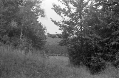 zamek Książ - park krajobrazowy - fragment, skan 1