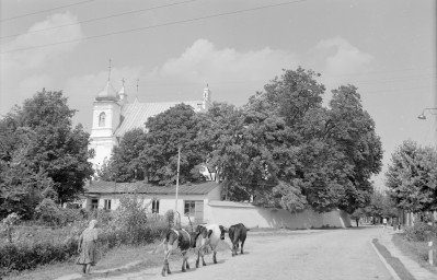 kościół pw. św. Józefa Oblubieńca Najświętszej Maryi Panny - elewacja południowa, skan 1