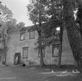 dwór w ruinie - elewacja zachodnia, skan 1