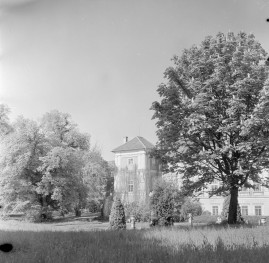 pałac - elewacja ogrodowa - fragment, skan 1