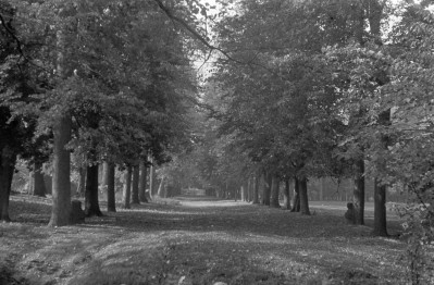 park - aleja lipowa, skan 1