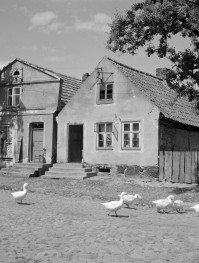 dom (nr 9 dom po lewej stronie) - elewacja frontowa, skan 1