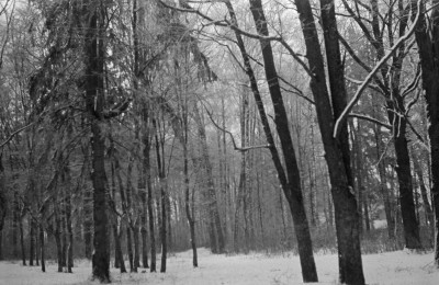 park - aleja, skan 1