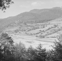 zamek - ruina - widok na wzgórze od strony Popradu, skan 1