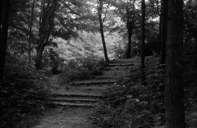 park miejski - schody z bali drewnianych, skan 1