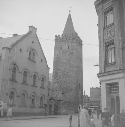 baszta - widok ogólny, skan 1