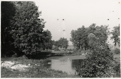 Zespół pałacowo - parkowy,  fragment parku - widok na stawy , skan 1