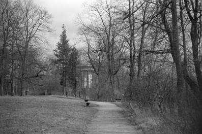 park - aleja nad skarpą z pałacu do Świątyni Sybilli, skan 1