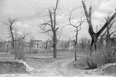 Pałac Krasińskich - widok od ogrodu, skan 1