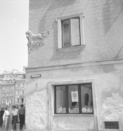 Rzeźbiony lew umieszczony wysoko na narożu fasady. Zwierzę zostało pokazane w ruchu, na bogato opracowanym, wolutowym wsporniku. To detal o wyraźnie barokizującym charakterze. Górna partia ściany została pokryta malowaną lub sgraffitową imitacją boniowania w formie regularnych prostokątnych podziałów. Pod oknem widoczny jest dodatkowy ornament kartuszowy lub roślinny, delikatnie wpisany w pas dekoracji. Okno ma proste, kamienne obramienie, a jego proporcje są smukłe i typowe dla staromiejskiej kamienicy. , skan 1