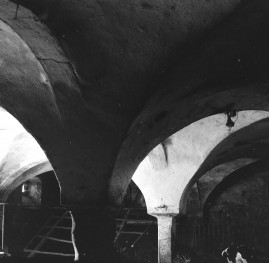 zespół zagrodowy - dom nr. 6 / stodoła - wnętrze - piwnica - sklepienie, skan 1