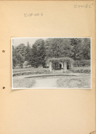 fotografia czarno-biała na karcie, widok pergoli obrośniętej pnączem, położonej nad sadzawką w parku; dopisek „Żywiec”, skan 1