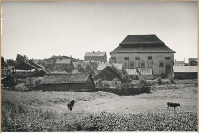 Synagoga - widok ogólny od strony płn. w zabudowie miejskiej, skan 1