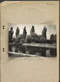 fotografia czarno-biała na karcie, przedstawiająca według opisu: „Współcz., Basen. Łódź, park Matejki - basen" (fotografia ze zbiorów Instytutu Urbanistyki i Architektury), skan 1