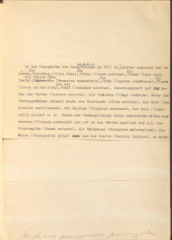 referat w formie tekstu z naniesionymi poprawkami, przygotowany w języku niemieckim (bez tytułu) na temat historii ogrodów w Polsce, skan 4
